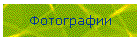 Фотографии